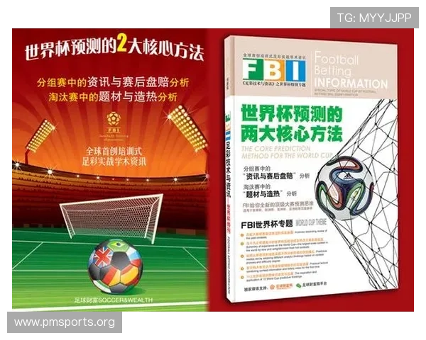 赛后世界杯竞猜资金管理策略与风险控制实战指南复盘方法与长期收益规划