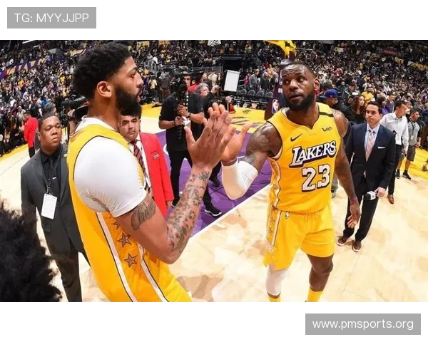 NBA最新赔率深度解析及赛季胜负走势全面预测